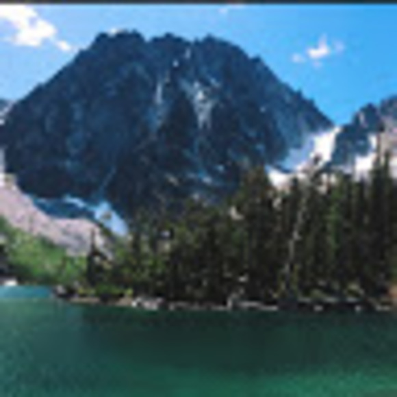 Meet your Posher, Isabella - Picture 1 of 1